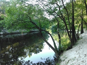 [Down the Alapaha River]