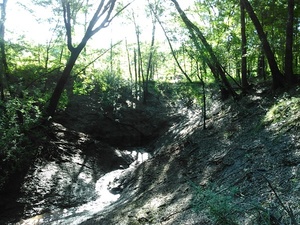 [Small sinkhole]
