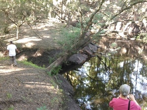 [A gully along the way]