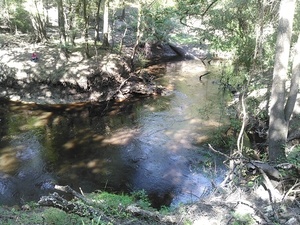 [Dead River just before the dye]