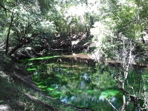 [Dye in Dead River]