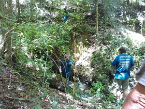 [Jennings Bluff Spring]