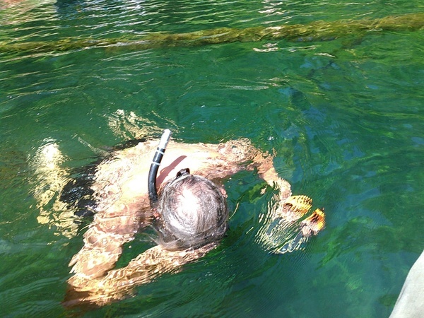 [Snorkel down 30.6416626, -83.3660889]