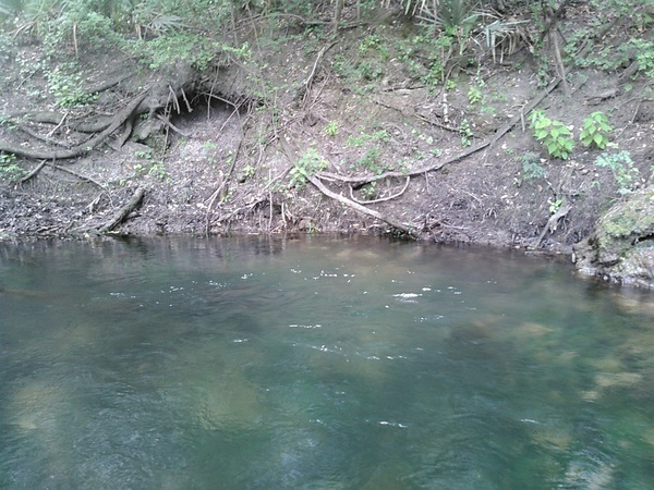 [Arnold Springs 30.6410122, -83.3368530]