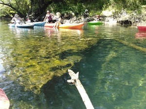 [Yellow and green water 30.6415939, -83.3660965]