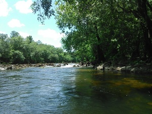 [Shady shoals 30.6348457, -83.3415604]