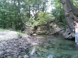 [Up into Arnold Springs 30.6409778, -83.3365707]