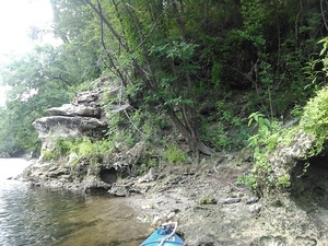 [Karst outcrop 30.6391582, -83.3185196]