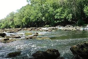 [Movie: Paddled right through the shoals (2.9M)]