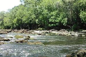 [Movie: Canoe above the shoals (4.5M)]