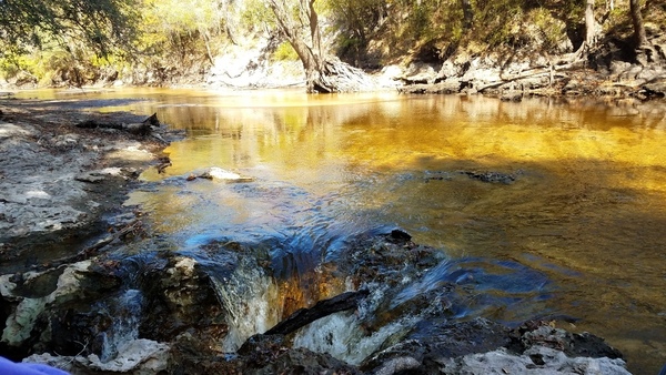 flowing into, 30.5855934, -83.0528291