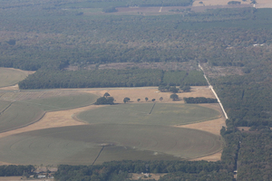 [Sabal Trail across NW 117th Place, 29.909494, -82.832510]