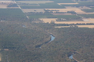 [w. to Sabal Trail HDD Santa Fe River, behind trees, 29.909767, -82.830305]