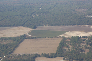 [Sabal Trail buses, 2500 NW 94th St, Branford, FL 32008, 29.880746, -82.850722]