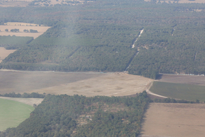 [Sabal Trail buses, 2600 NW 91st Ln, Branford, FL 32008, 29.873089, -82.850483]
