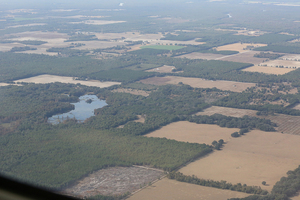 [WSW. across Sevenmile Lake to Sabal Trail, Suwannee River, 29.847679, -82.827386]