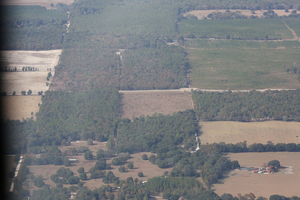 [2000 NW 80th St, Bell, FL 32619, 29.857060, -82.850472]