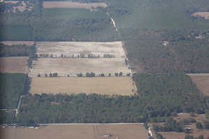 [1750 NW 75th Trail, Bell, FL 32619, 29.850588, -82.841629]