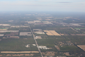 [N. up US 129 from Bell, Sabal Trail on right, 29.757023, -82.867536]