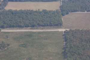 [Diamond 99 Inc., 8409 NW 22nd Ct, Bell, FL 32619, 29.856805, -82.853483]