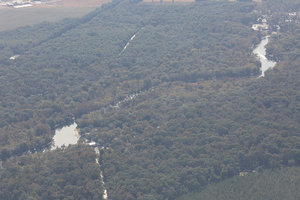 [Sandy Point, American Dairy Co., Ellie's RV Resort, 29.911716, -82.866600]