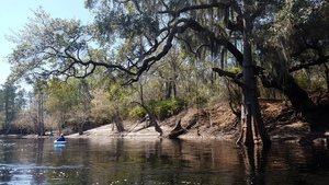 [River and swing, 13:06:39, 30.6201703, -82.6697273]