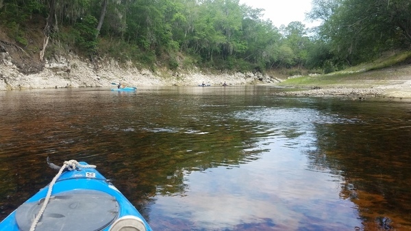 Limestone bottom, 2017:05:20 10:54:14, 30.3656800, -82.8764400 --jsq for WWALS