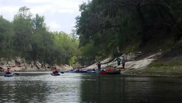 [Must be something on the bank, 2017:05:20 11:32:43, 30.3686100, -82.8881800 --jsq for WWALS]