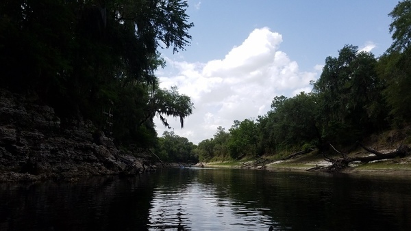 [Below 91st Drive, 2017:05:20 15:13:35, 30.3906341, -82.9316863 --jsq for WWALS]