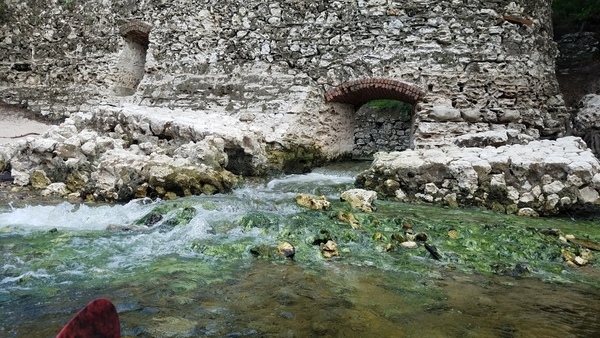 [Green Suwannee Springs outflow, 2017:05:20 15:28:45, 30.3946288, -82.9346197 --jsq for WWALS]