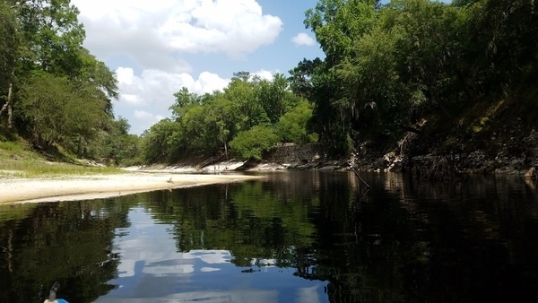 [Back to Suwannee Springs, 2017:05:20 15:33:27, 30.3948325, -82.9354444 --jsq for WWALS]