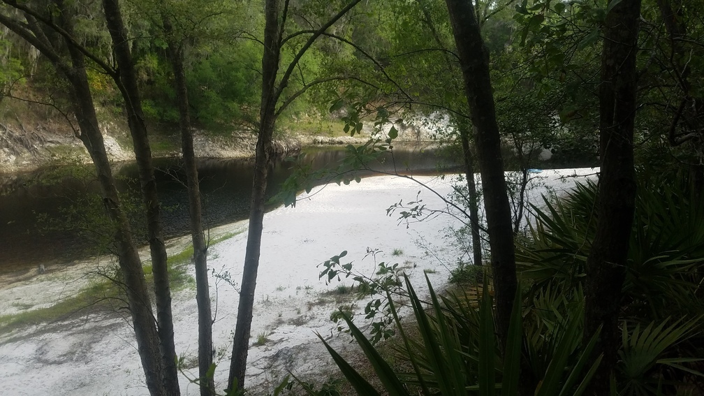 Woods Ferry Tract Landing, 2017:05:20 08:54:39, 30.3615630, -82.8688362 --jsq for WWALS