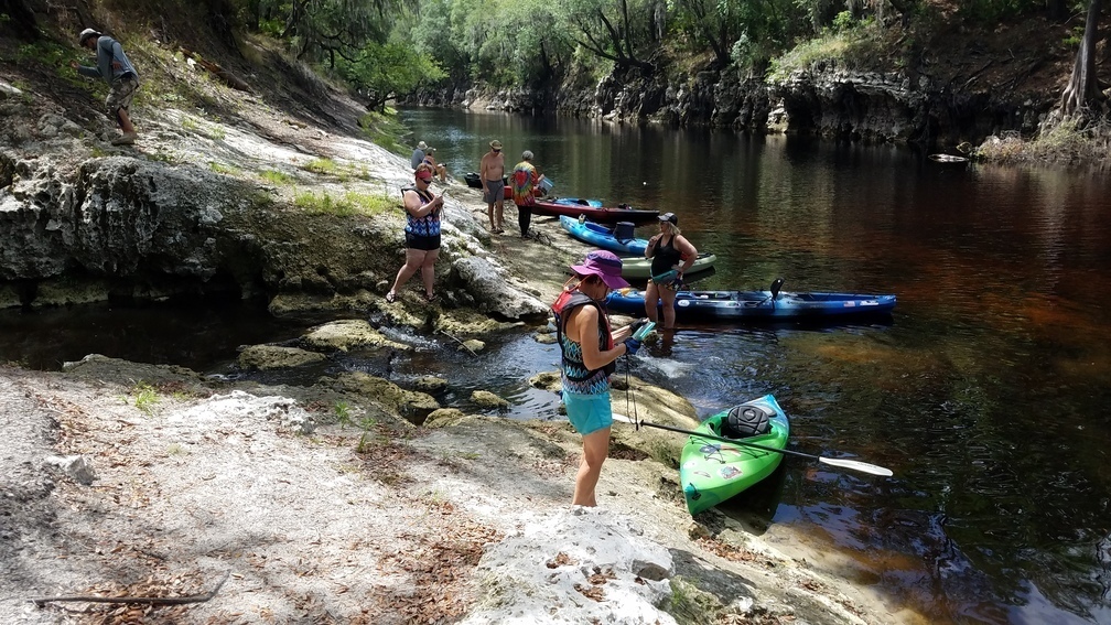 Upriver across Camp Branch, 2017:05:20 11:37:29, 30.3695100, -82.8887100 --jsq for WWALS