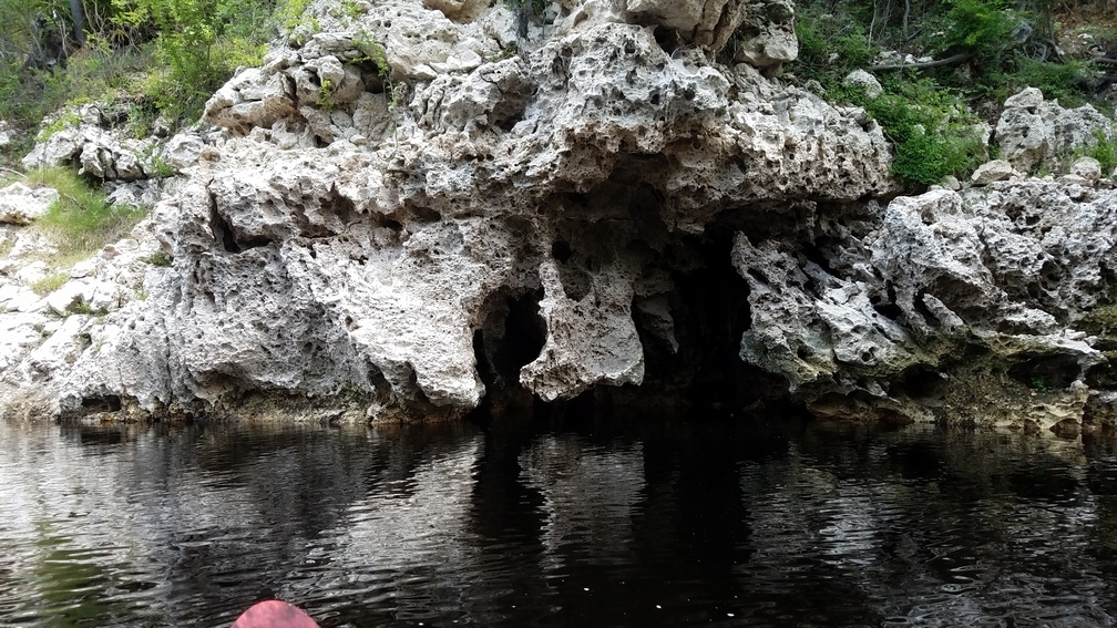 Small limestone cave above Mattair Springs, 2017:05:20 12:27:19, 30.3720494, -82.8903312 --jsq for WWALS