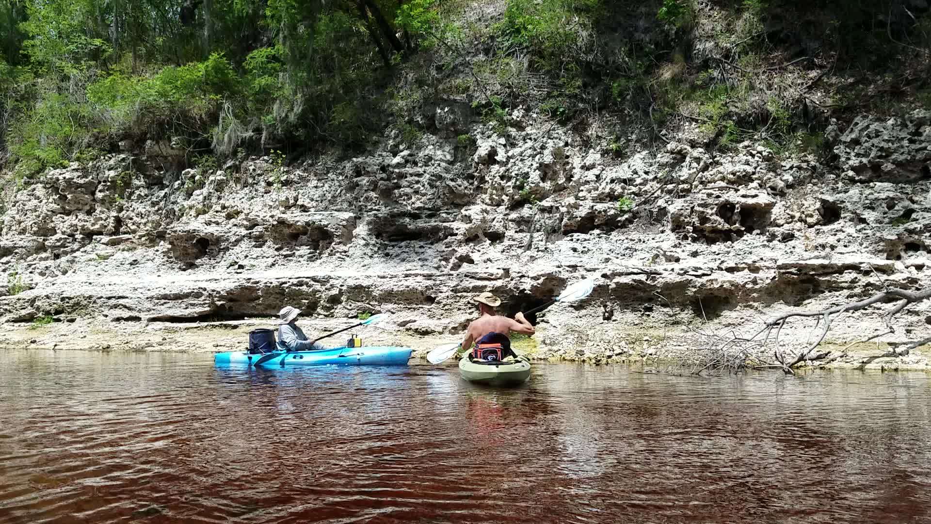 Movie: Does it smell like snake? Sulfur spring, Ham1019971, 4th Mag., 2017:05:20 15:01:33, 30.390171, -82.926832, --jsq for WWALS