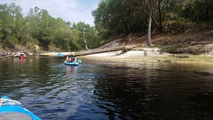 [Logs, 2017:05:20 10:30:35, 30.3609000, -82.8707200 --jsq for WWALS]