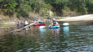 [Deadfalls, 2017:05:20 10:30:47, 30.3609600, -82.8712200 --jsq for WWALS]