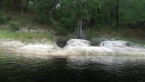 [Jerry Branch confluence?, 2017:05:20 10:43:15, 30.3663171, -82.8722976 --jsq for WWALS]