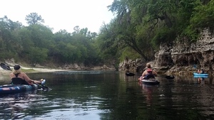 [Limestone cliff, 2017:05:20 11:05:30, 30.3672600, -82.8797200 --jsq for WWALS]