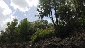 [Power line, Hamilton County, SRWMD parcel 2752-000, 2017:05:20 15:05:47, 30.3912400, -82.9283900 --jsq for WWALS]