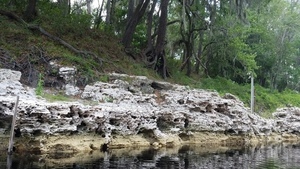 [More level markers, 2017:05:20 15:19:59, 30.3923800, -82.9325889 --jsq for WWALS]