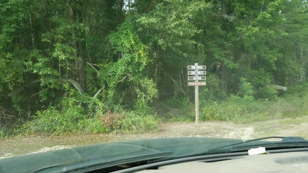 [Twin Rivers State Forest, Sullivan Landing, 5776 NE Bellville Road, 30.5961364, -83.2621522]