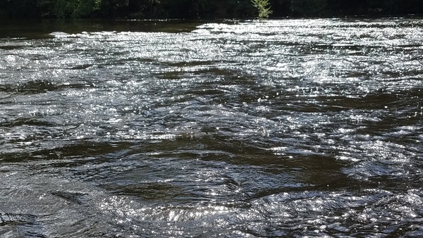 Rapids, 30.58413, -83.2619