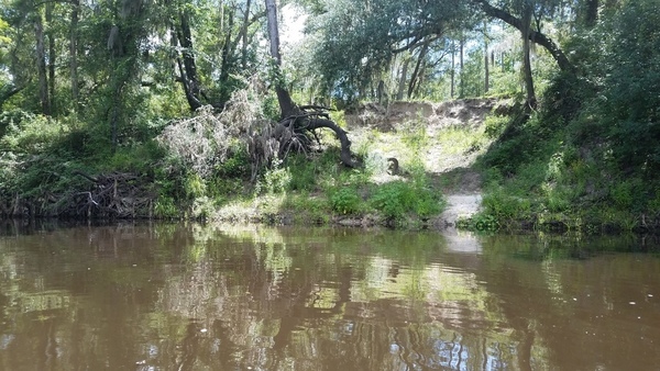 Eroded bluff, 30.50296, -83.24248