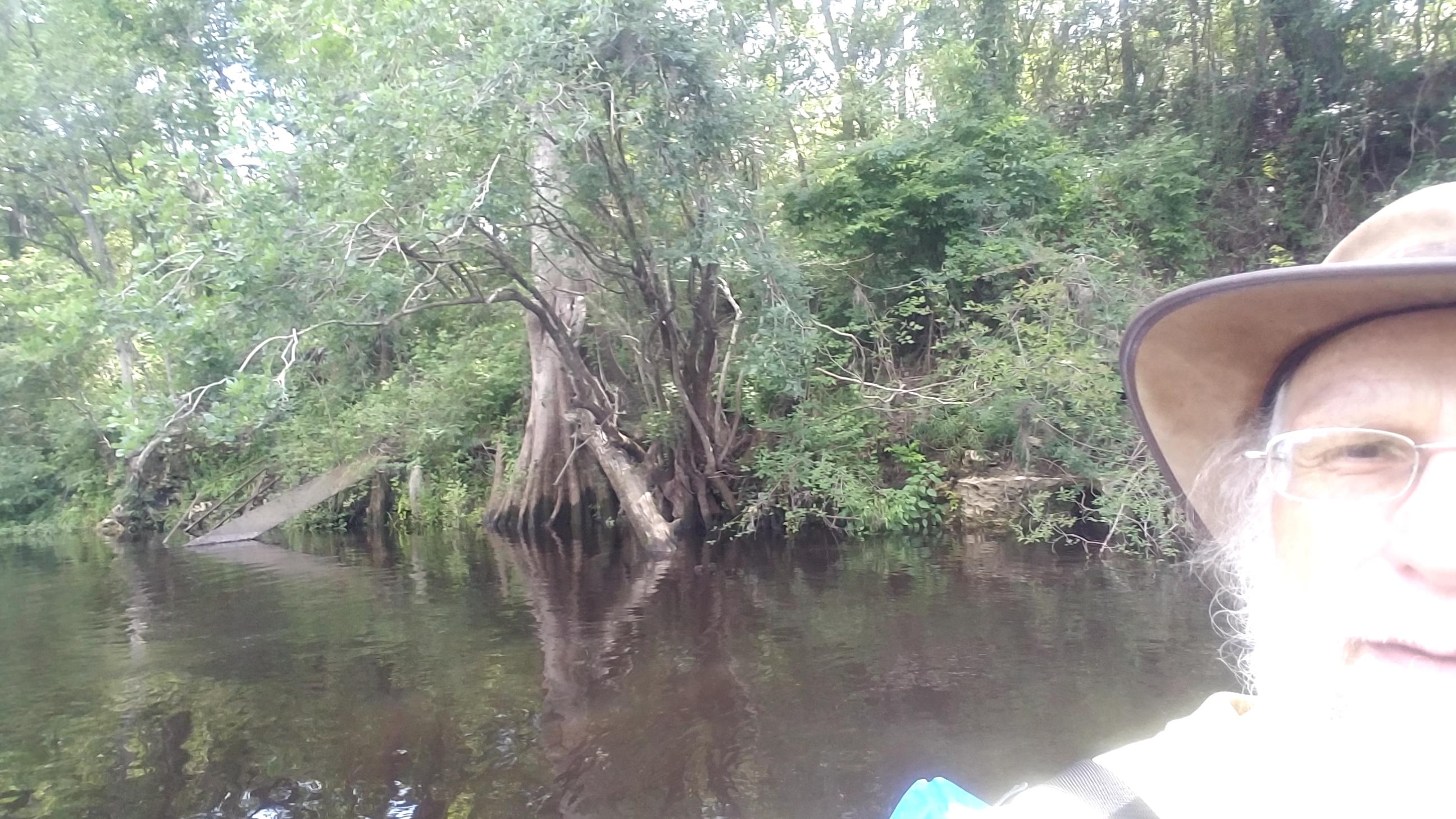 Remains of Belleville Bridge, Hamilton County, FL, 30.5955, -83.25914