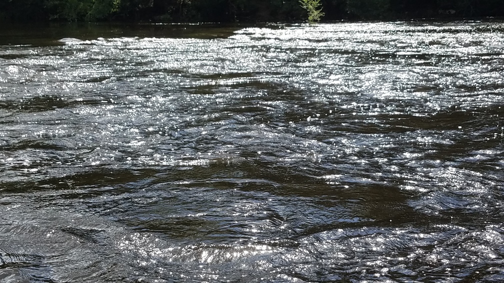 Rapids, 30.58413, -83.2619