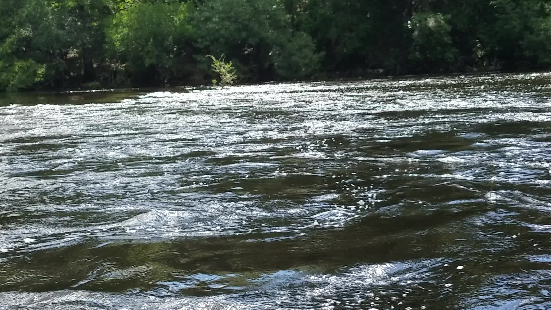 Movie: White water (37M), 30.58422, -83.26197