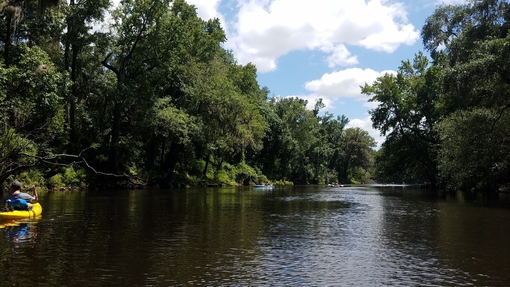 On downstream, 30.50281, -83.24254