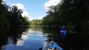 [Shoals coming up, 30.58447, -83.26167]