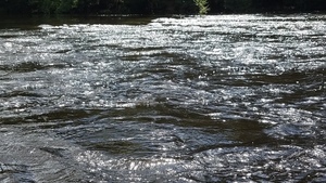 [Rapids, 30.58413, -83.2619]